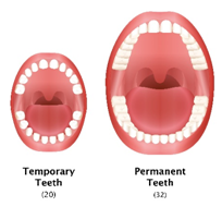 Teeth-development