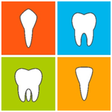 Types-of-teeth