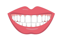 Natural teeth