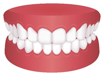 Dental health